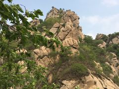 -大岭沟猕猴桃谷风景区
