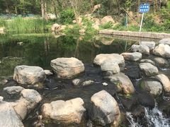 -白水寺森林公园