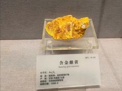 -湖南省地质博物馆