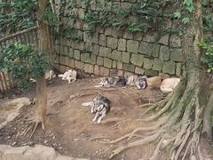 -杭州长乔极地海洋公园