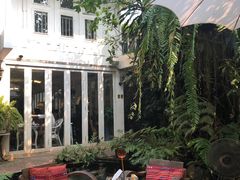 -Fern Forest Cafe