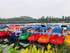 -枫香湖儿童公园