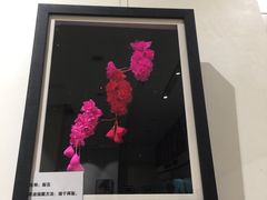 -梅陇文化馆