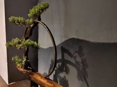 -上足·影院足道·SPA(红岭店)