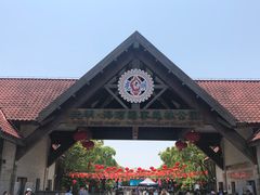 -上海海湾国家森林公园