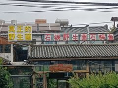 -马帮菜馆·美味野生菌