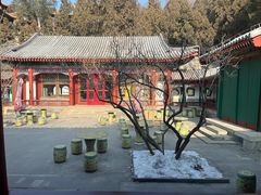 -宫事颐庭·老佛爷贵寿下午茶(颐和园店)