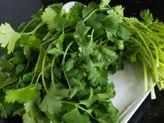香菜-顺风肥牛(建设路店)