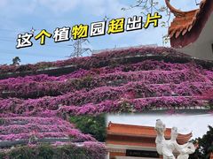 -深圳仙湖植物园