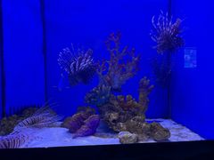 -多彩贵州城极地海洋世界