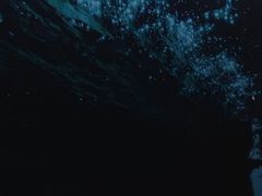 -怀托摩萤火虫洞