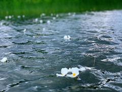 -丽江泸沽湖景区