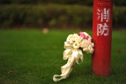 锦江草坪-锦江饭店·锦江小礼堂·宴会厅