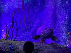 -沈阳海洋探索中心