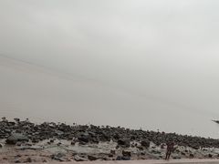 -深圳湾公园(南山区)