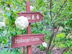 -上海共青森林公园