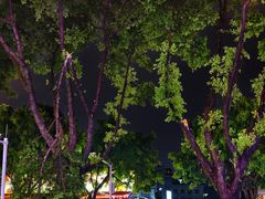 -海珠新都荟城光荟(海珠店)