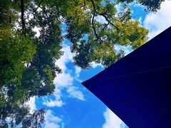 -J Create城市露营咖啡·简餐·宠物(上海动物园店)