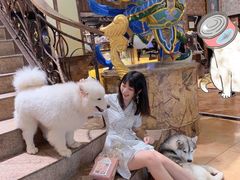 -more than meow吴止猫主题餐厅(承德 中船汇店)