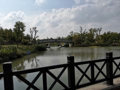 -上海长兴岛郊野公园