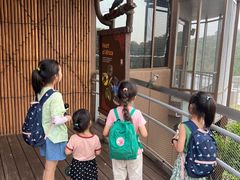 -新加坡飞禽公园