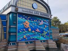 -海底巡游艇:尼莫和好友的海洋世界