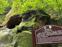-缙云山景区