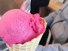 -Patagonia Chocolates(皇后镇店)