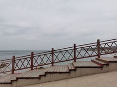 -养马岛旅游度假区