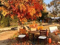 -HERRE·FARM 赫尔露营农场·团建聚会包场