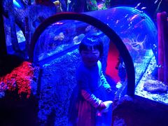 -沈阳海洋探索中心