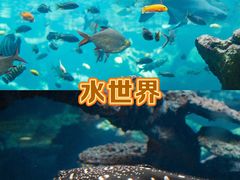 -长鹿旅游休博园