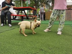 -萌宠亲子动物乐园(槐房万达店)