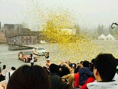 -河南威佳金凯汽车销售服务有限公司