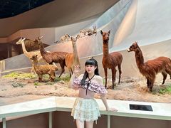 -武汉园博园(武汉自然博物馆)