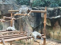 -杭州野生动物世界