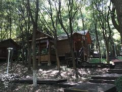 -洪湖悦兮半岛国际温泉度假村