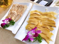 -墨脱石锅椰子鸡•香草鸭•东山羊(大东海店)