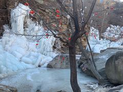 -黑龙潭风景区