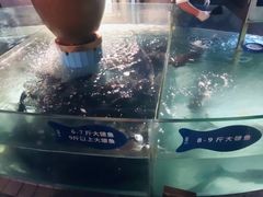 现杀鱼-坛宗剁椒鱼头(河西王府井店)