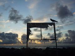 -尼甘布海鲜市场