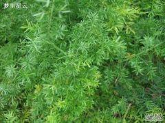 -广州神农草堂中医药博物馆