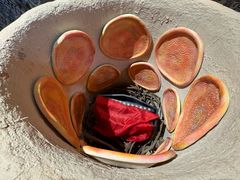 -可爱的新疆·丝路宴(盛达广场店)