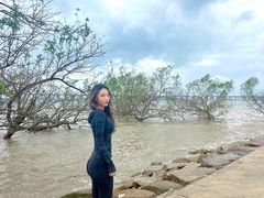 -宝安西湾红树林湿地公园