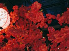 -探花·意境江南菜·唐伯虎文化体验店·松鼠桂鱼(观前店)