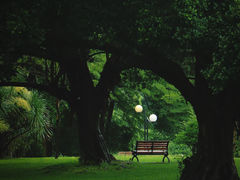 -荔香公园