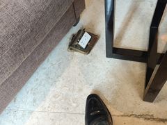 -汕头龙光喜来登酒店