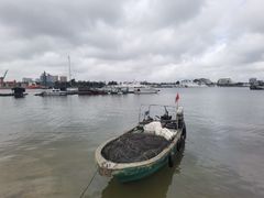 -东郊椰林