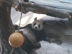-宁波野生动物园