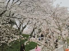 -杭州少年儿童公园